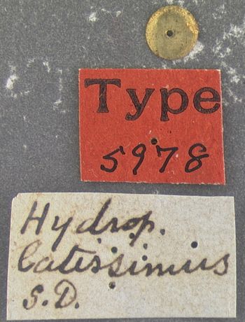 Media type: image;   Entomology 5978 Aspect: labels